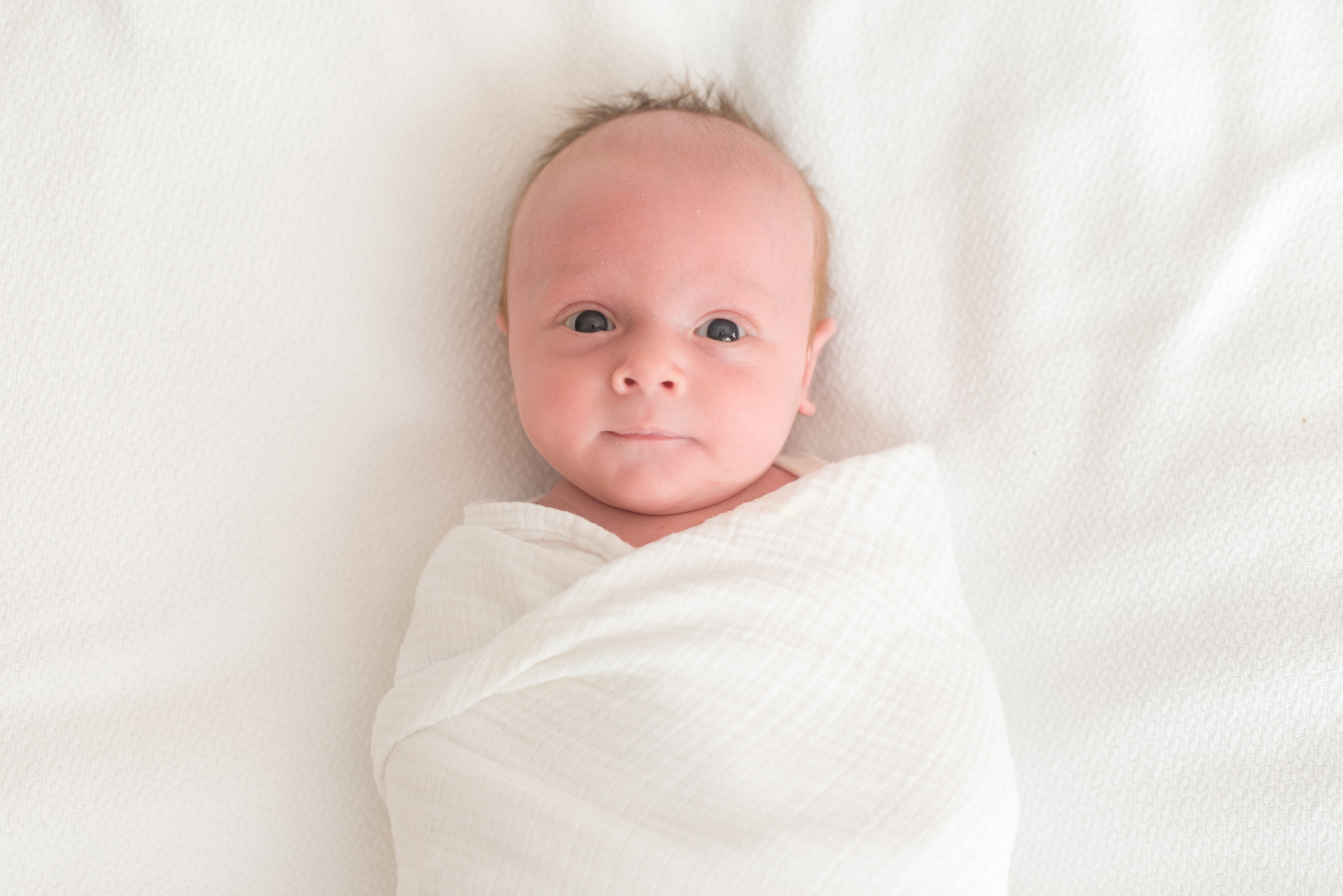 Photographing Two Sweet Brothers Denver Newborn Photographer
