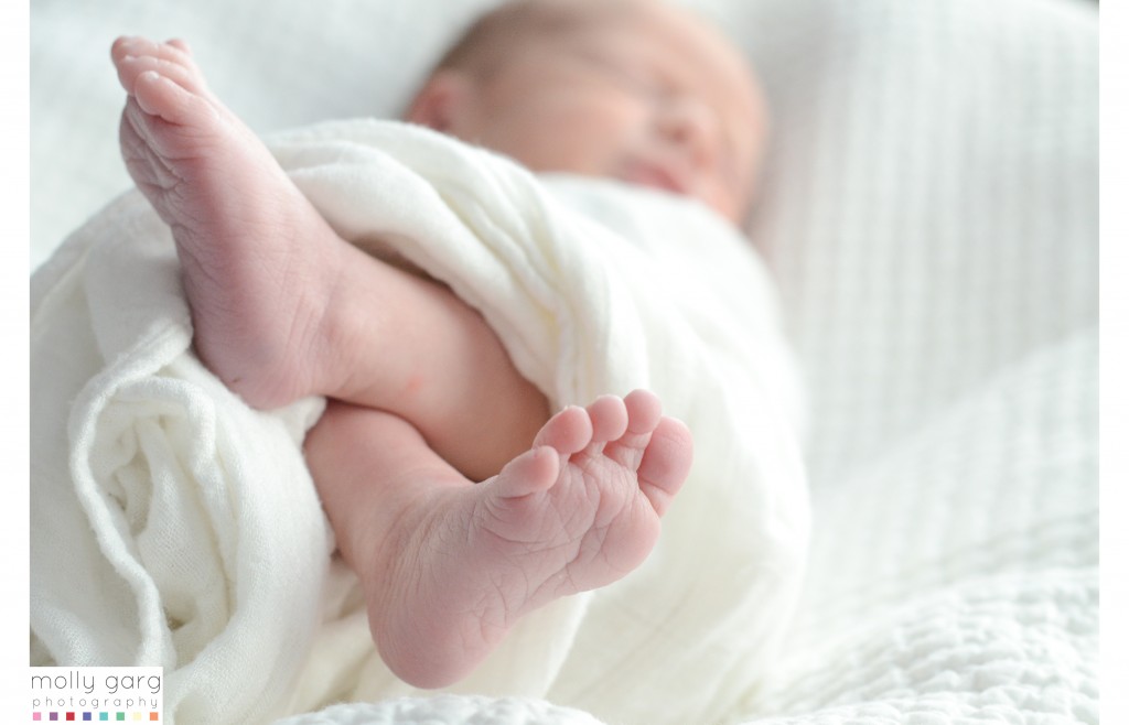 Denver Newborn Photographer