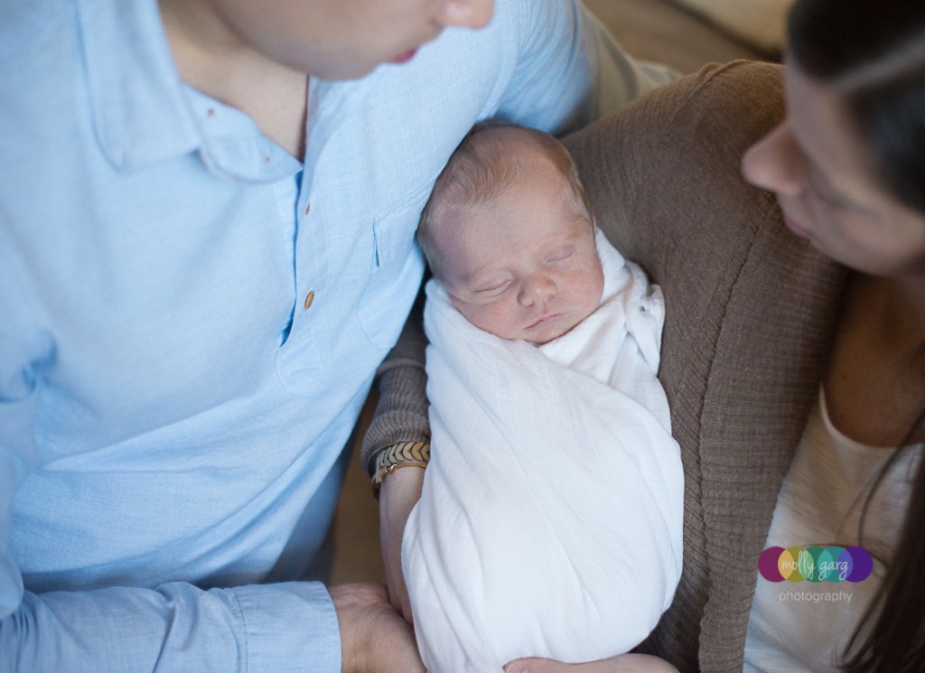 denver newborn photography