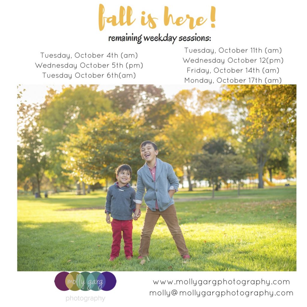 weekday fall family photos