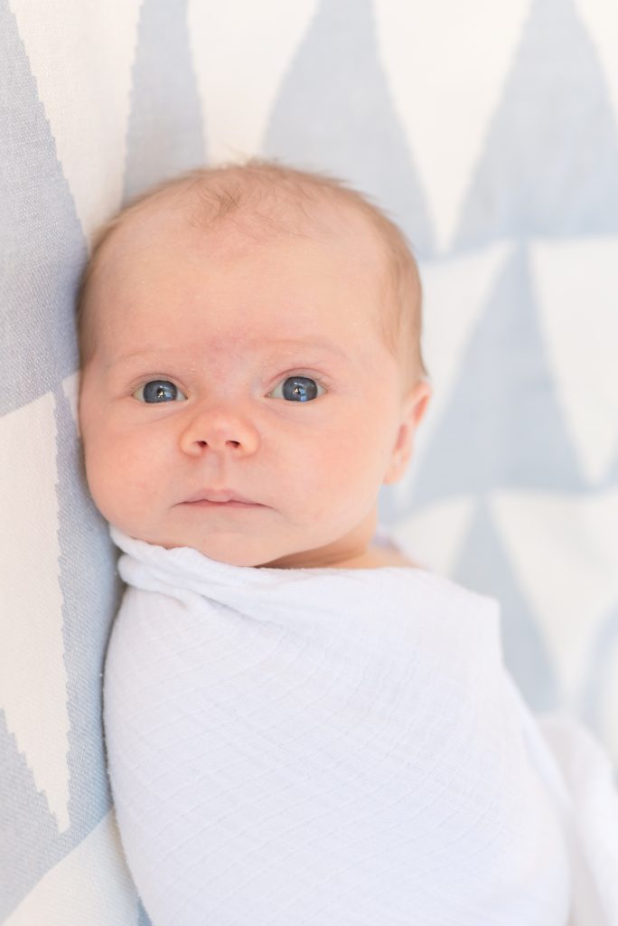 denver newborn photography 