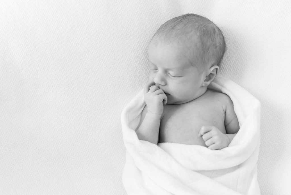 denver newborn photographer