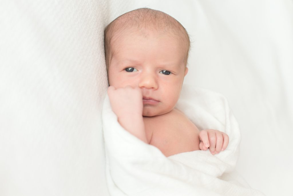 denver newborn photographer