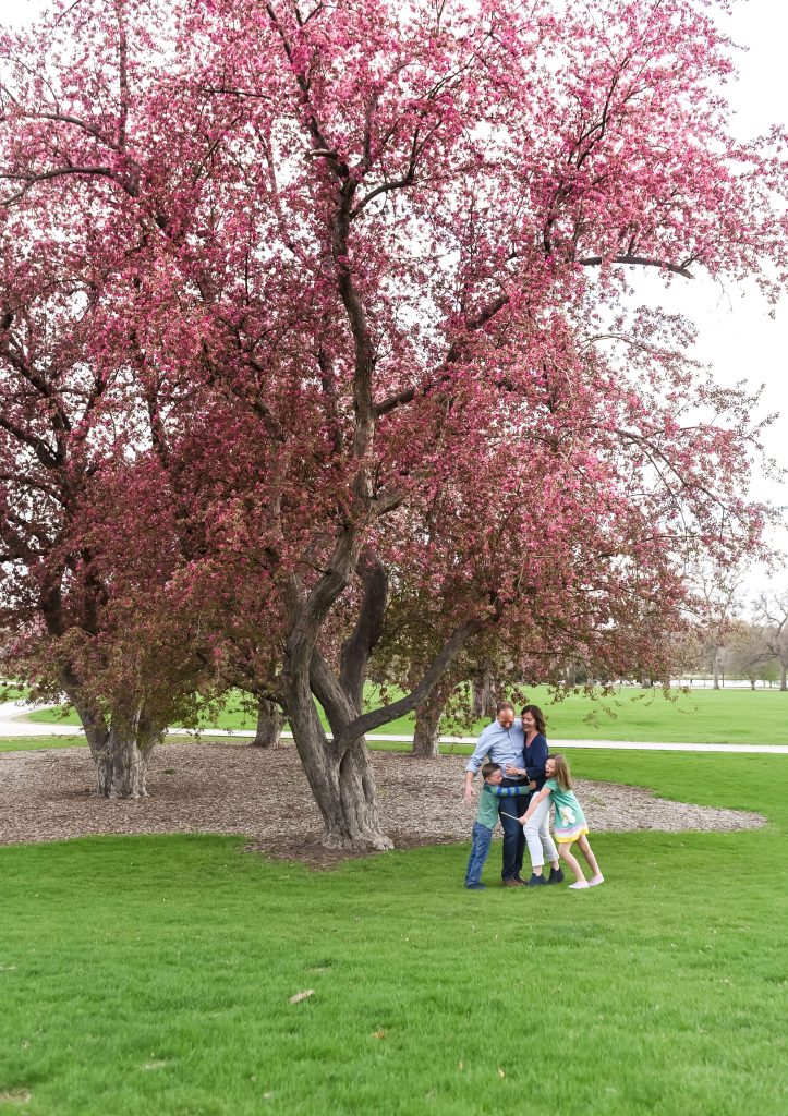 a family is photographed near a pink blooming tree in City park 