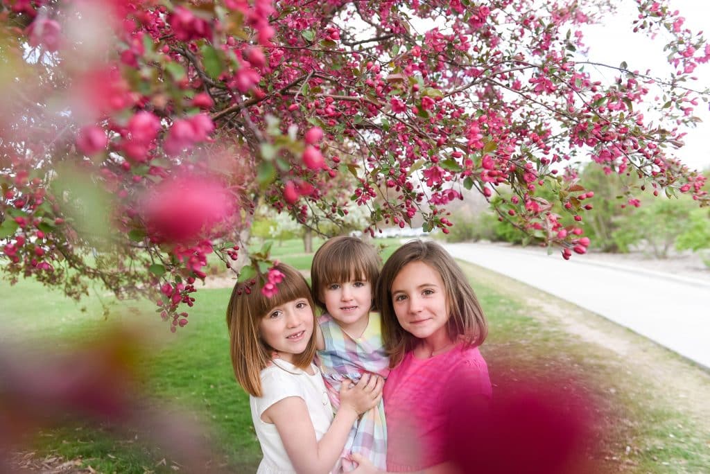 three girls are photographed under a pink blooming tree 
