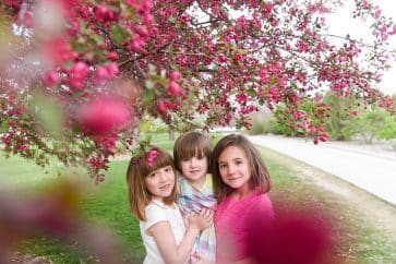 three girls are photographed under a pink blooming tree