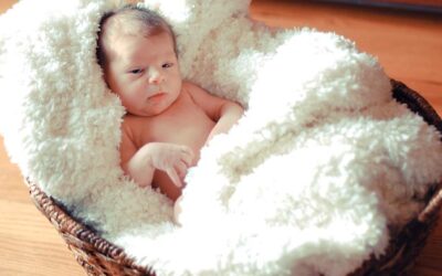 Miss Audrey {Stapleton Newborn Photographer}
