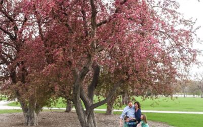 Spring mini sessions in Denver